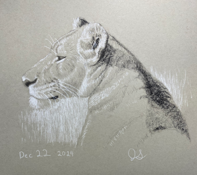 Lioness
