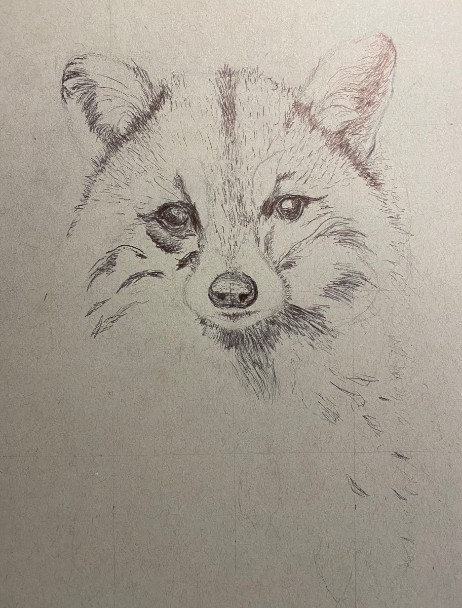 Rockey detail view 2