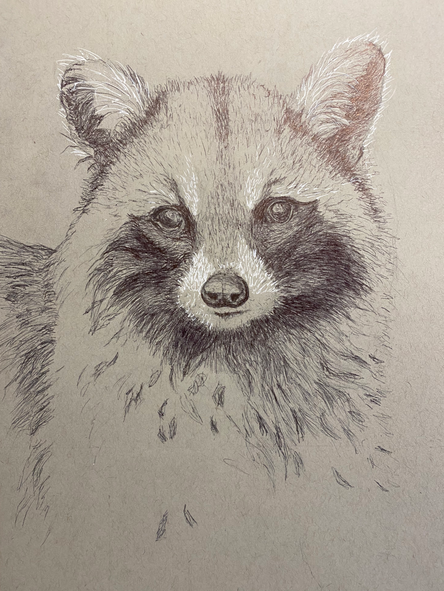 Rockey detail view 3